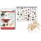 Wonders Of Learning Tin Set, Discover Bugs TS02 - alternate 1